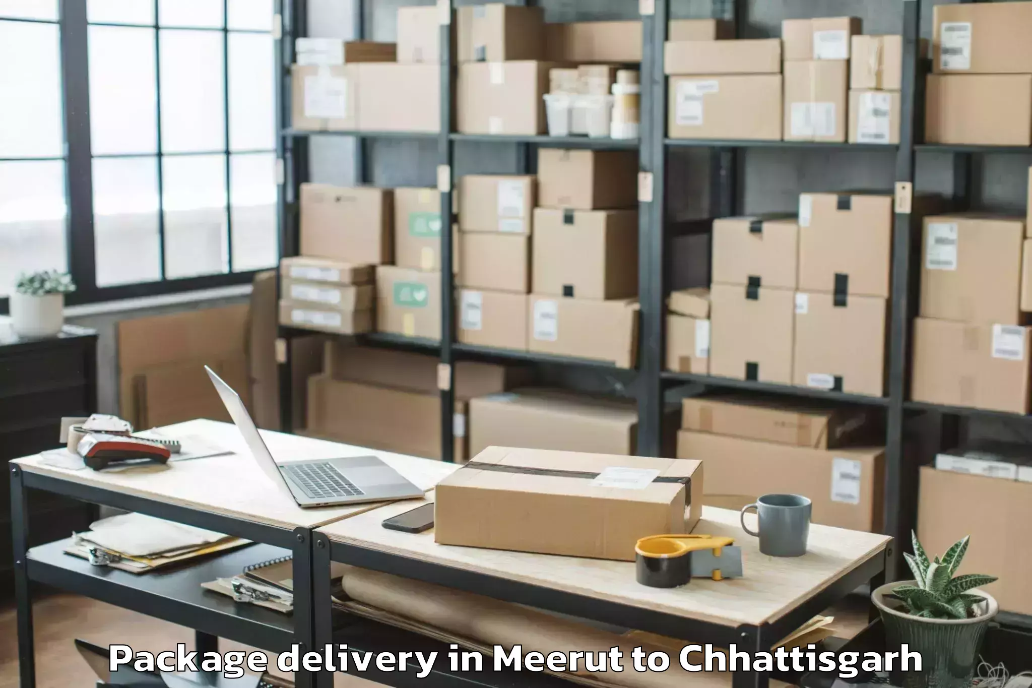 Reliable Meerut to Malkharoda Package Delivery